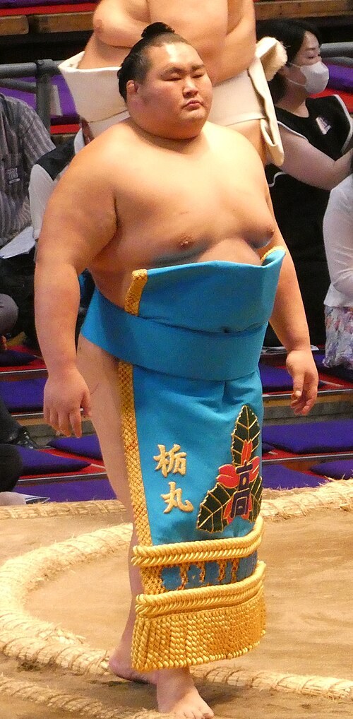 栃丸