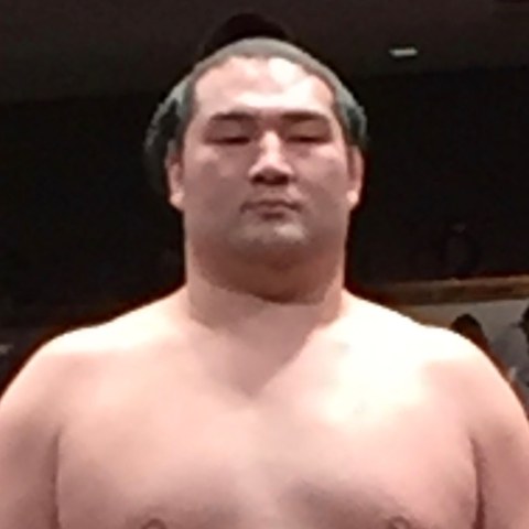 竜電