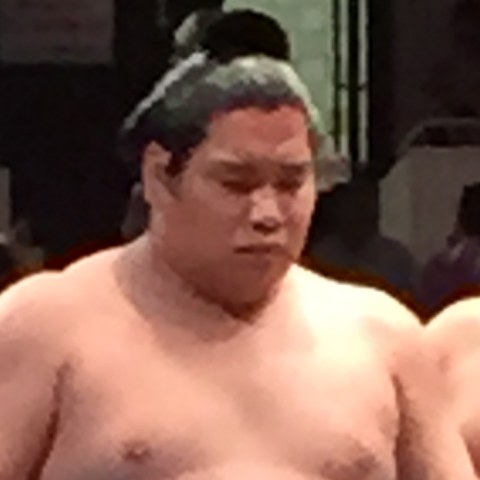 錦木