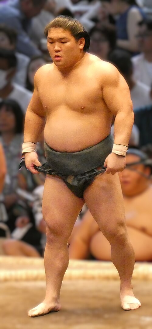 朝紅龍