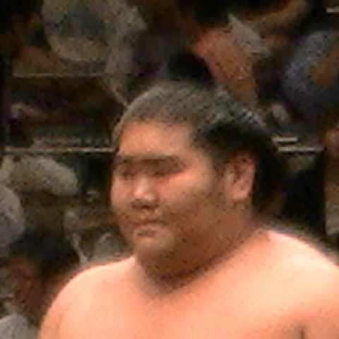 千代ノ皇