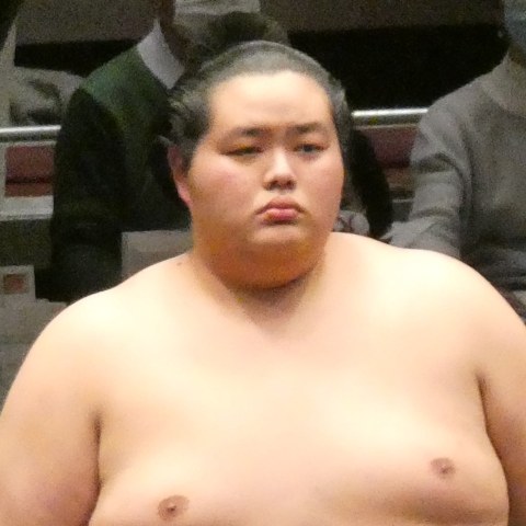 琴櫻