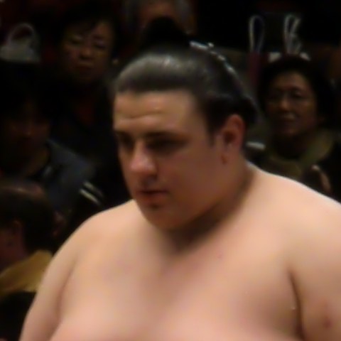 碧山