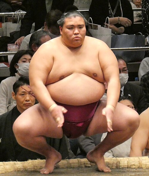 御嶽海