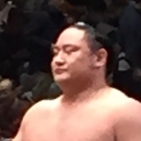 琴恵光