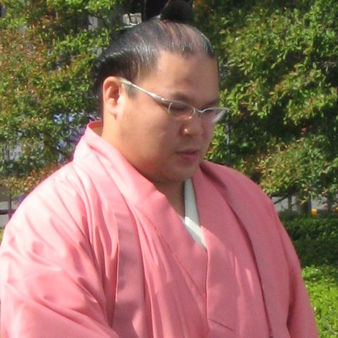 磋牙司