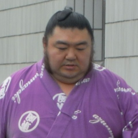 華王錦