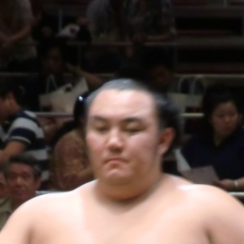 琴勇輝