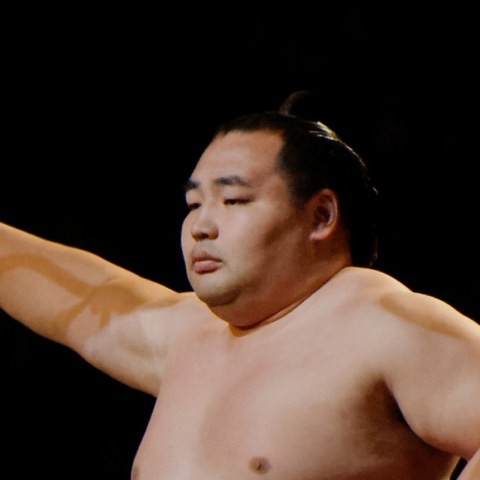鶴竜
