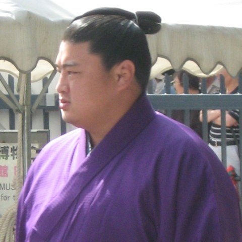 嘉風