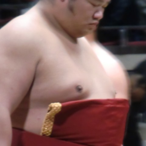 誉富士