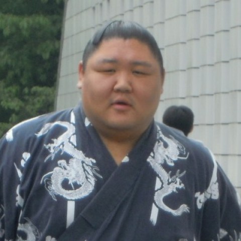 栃飛龍