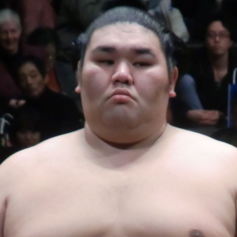天鎧鵬
