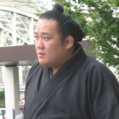 北太樹
