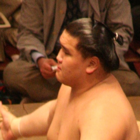 翔天狼