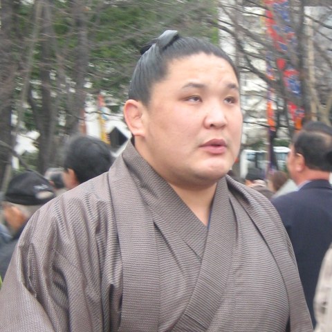 朝赤龍
