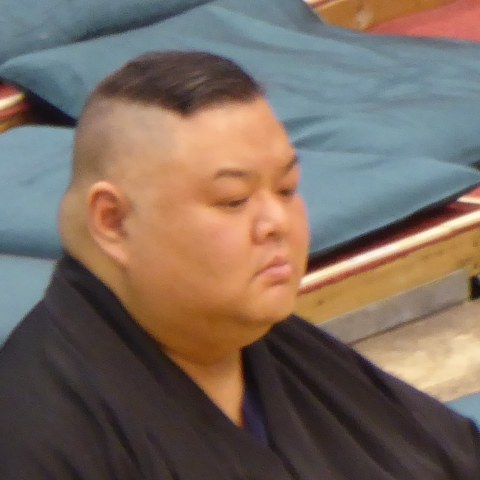 隆の鶴
