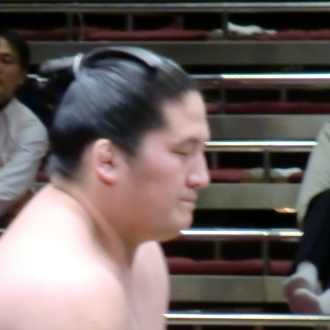 大勇武
