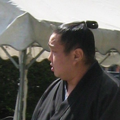 皇司
