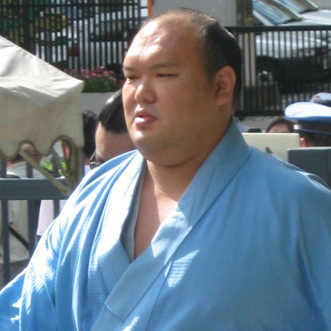 北桜