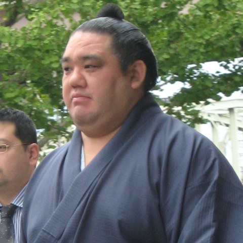 若の里