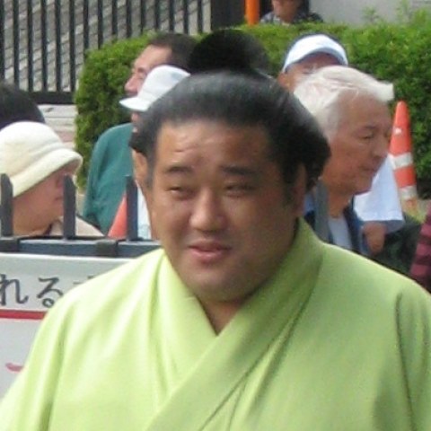 安壮富士