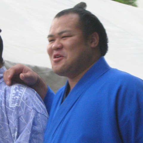 千代白鵬