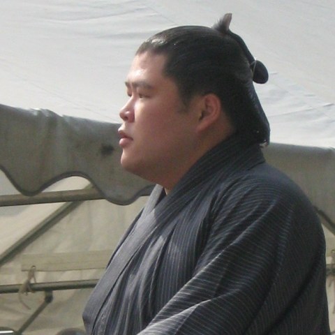 土佐豊