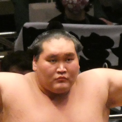 照ノ富士