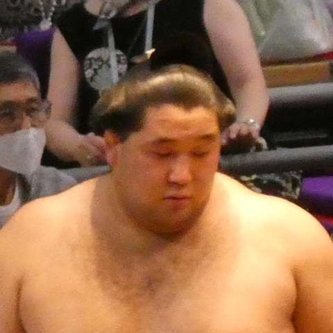 颯雅