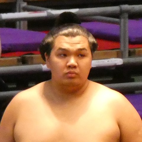 北青鵬