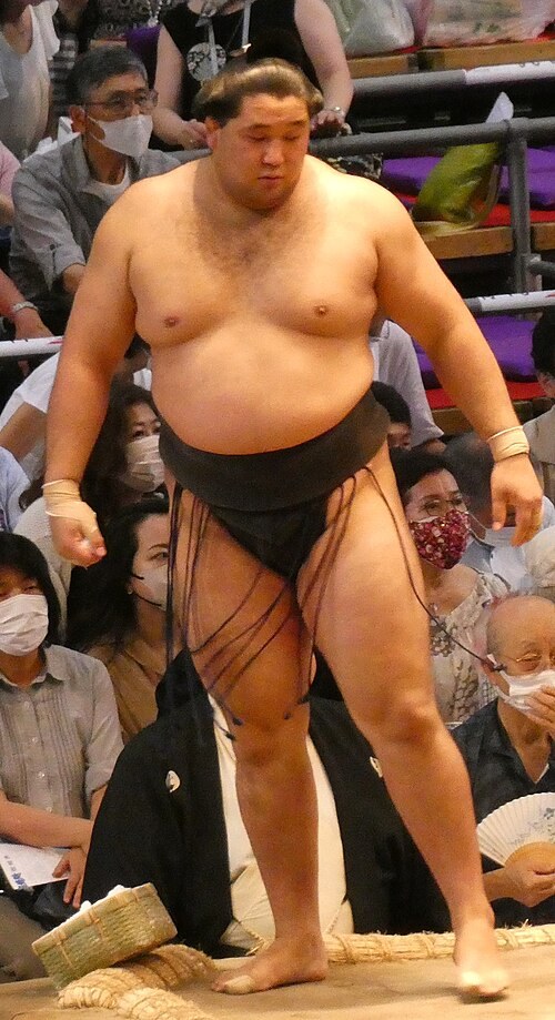 狼雅