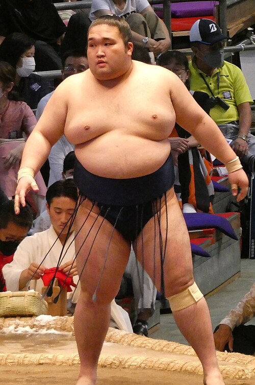 豪ノ山