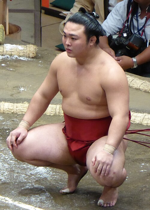 炎鵬