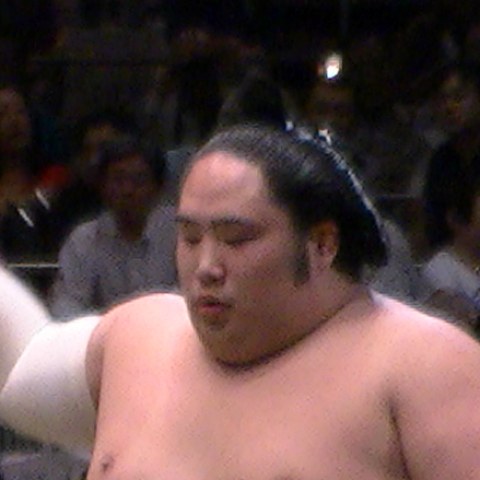 千代鳳