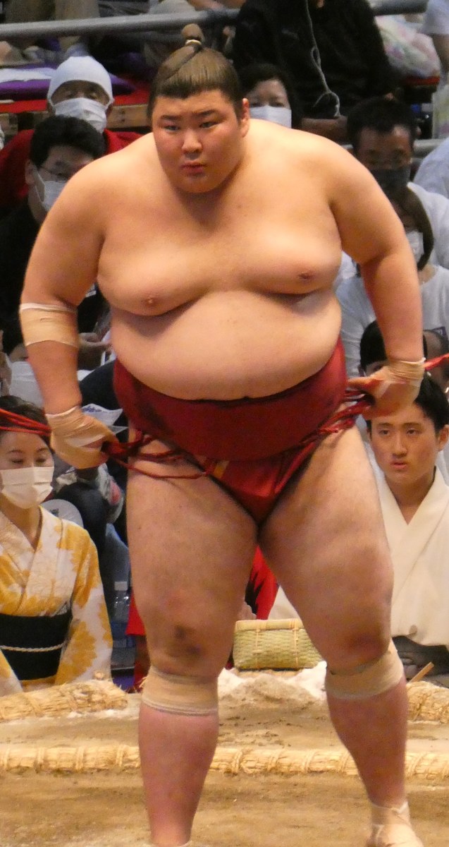 熱海富士